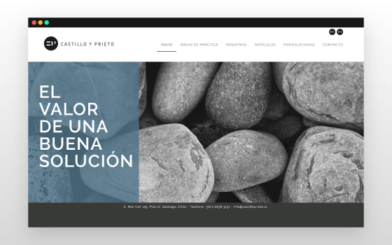 programador web desarrollador diseñador