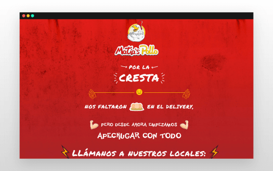 programador web desarrollador diseñador