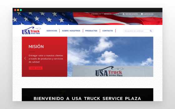 programador web desarrollador diseñador