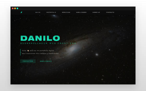 programador web desarrollador diseñador